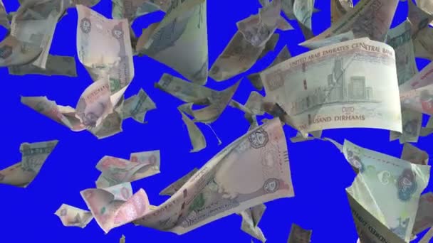 Falling Banknotes Dirham Uae United Arab Emirates Chroma Key Loopable — Stock Video