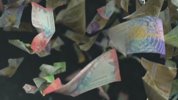 Billets Tombant Francs Suisses Loopable — Video