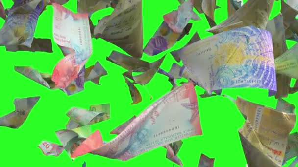 2009 Falling Swiss Franc Banknotes Green Chroma Key Loopable — 비디오