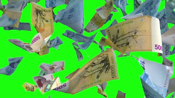 Vallende Bankbiljetten Zuid Koreaanse Won Green Chroma Key Loop — Stockvideo