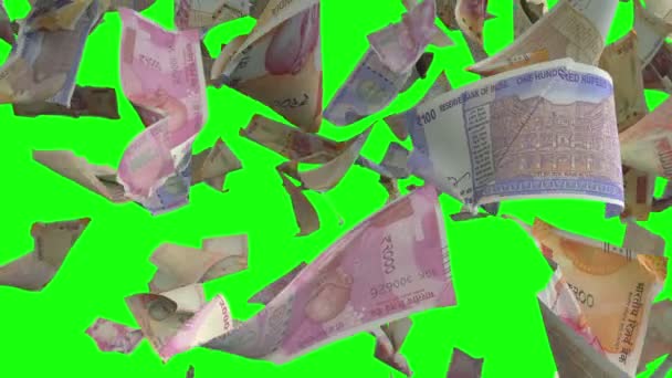 지폐파기 Falling Indian Rupee Currency 크로마 — 비디오