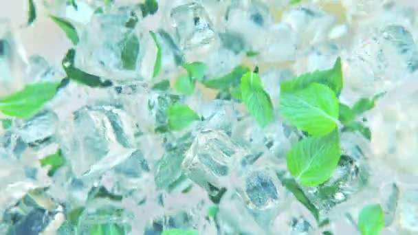 Yavaş Çekimde Naneli Buz Küpleri Serpiyor — Stok video