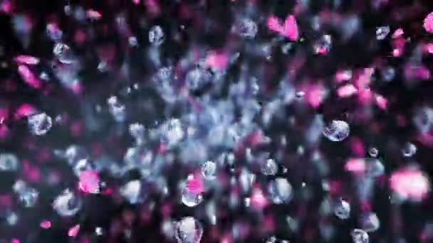 Vodní Bubliny Okvětní Lístky Růží Letí Super Zpomaleném Pohybu — Stock video