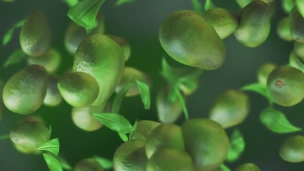 Proaspăt Avocado Fundal Buclă Fructe Mișcare Lentă — Videoclip de stoc