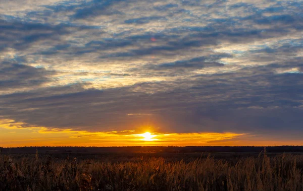 Красивый Оранжевый Закат Поле Теплый Осенний Вечер Темные Облака Трава — стоковое фото