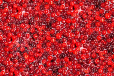 Şeker şuruplu kızılcık. Kırmızı böğürtlen reçeli. Ev mutfağı. Şablon. Meyve arka planı. Tatil için şekerler. Sağlıklı yiyecekler, vitaminler. Artan bağışıklık. Soğuk algınlıklarıyla, hastalıklarla mücadele