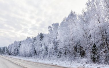 Kış ormanında yol. Kar ve buzla kaplı beyaz ağaçlar. Gökyüzü bulutlarda. Güzel yeni yıl manzarası