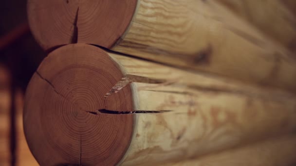 Wall of logs — Stock Footage Wall of logs Royalty Free Stock Video