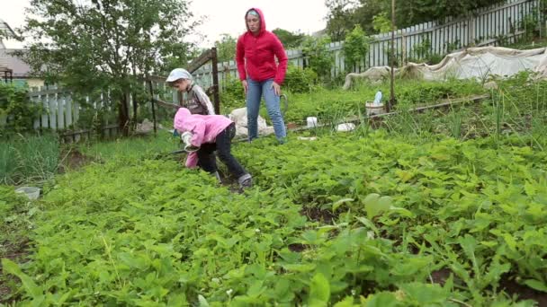 Agricultora en camisa roja a cuadros, jeans, afloja el suelo negro