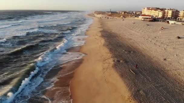 Полет на океанском песчаном берегу ранним утром, Португалия, Фукусима. — стоковое видео