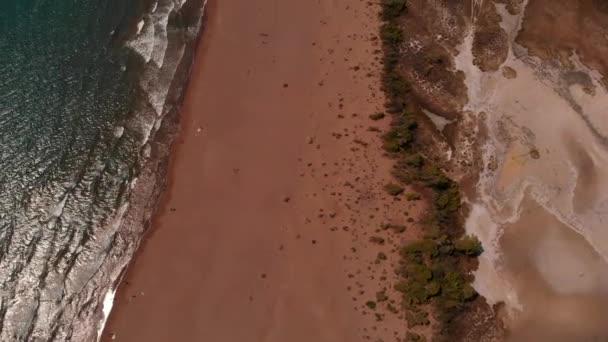 Повітряний вид пляжу Істузу, місце, де з'являється Red Data Book relict loggerhead turtles Caretta, Dalyan, Mugla, Turkey — стокове відео