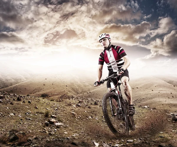 Mountain Bike cyclist riding single track Stock Image Everypixel