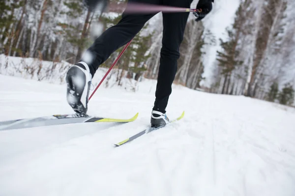 Cross country skiing, close-up