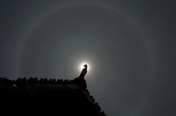 The sun halo — Stock Photo, Image