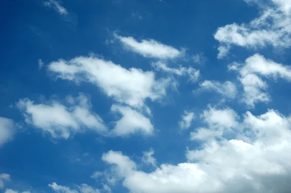 Tela en el cielo azul — Foto de Stock