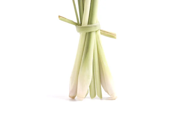 Lemon grass isolated on white — Stock Photo, Image