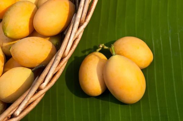 Fruta tailandesa de ciruela mariana dulce (Mayongchid Maprang Marian Plum y —  Fotos de Stock