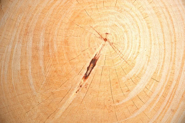Wood chopping block texture — Stock Photo, Image