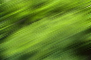 Güzel Nature.Blurred arka plan 