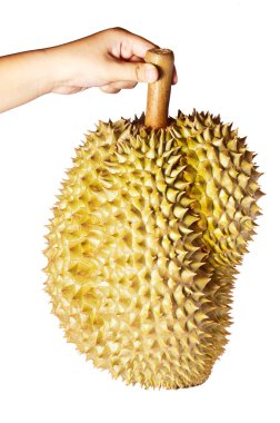elini tut beyaz arka plan üzerinde izole durian 