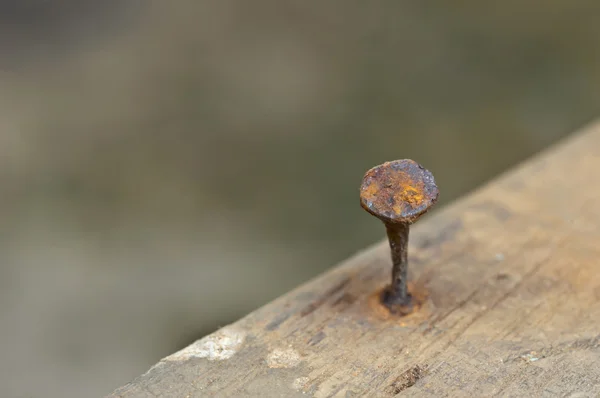 Old nail on wood macro — Stock Photo, Image