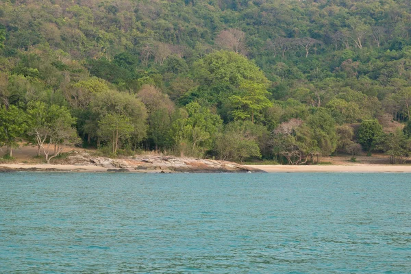 Deniz görünümü plaj rock ve ağaçlar orman