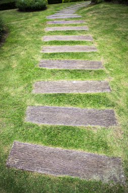 Ahşap arasında büyüyen çimen ile yola