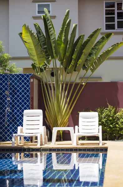 Yüzme Havuzu, şezlong