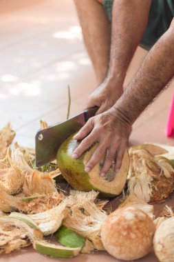 Bıçak, doğrama Hindistan cevizi