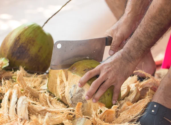 Bıçak, doğrama Hindistan cevizi