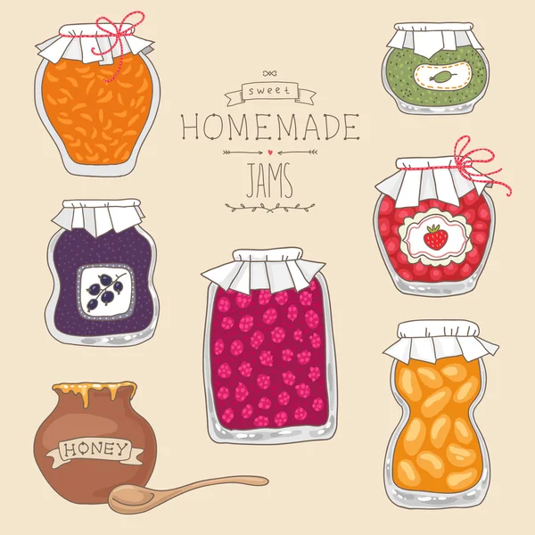 Set of tasty home made jams — Stock Vector