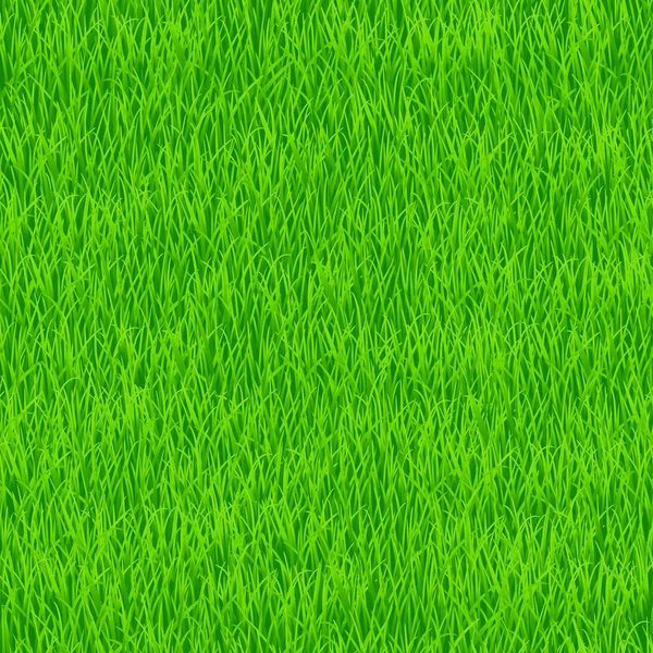 Grass pattern — Stock Vector