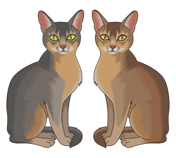 Dos gatos abisinios — Archivo Imágenes Vectoriales