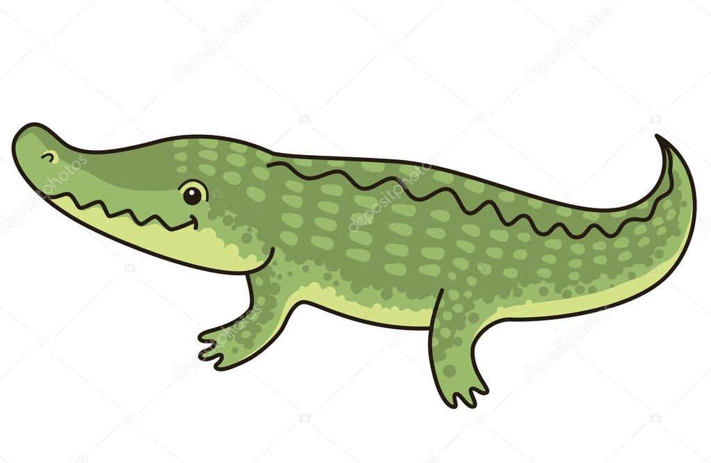 Alligator cartoon Vector Art Stock Images | Depositphotos Alligator cartoon Vector Art Stock Images | Depositphotos