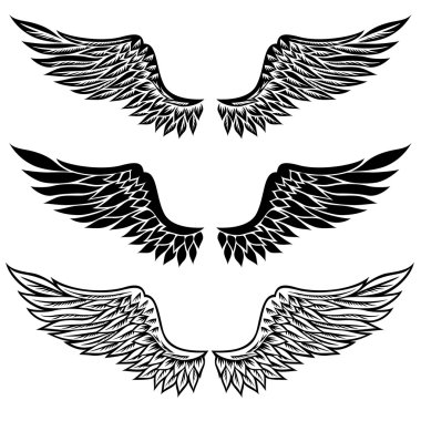 Ve güzel fantezi stilize kanatlar