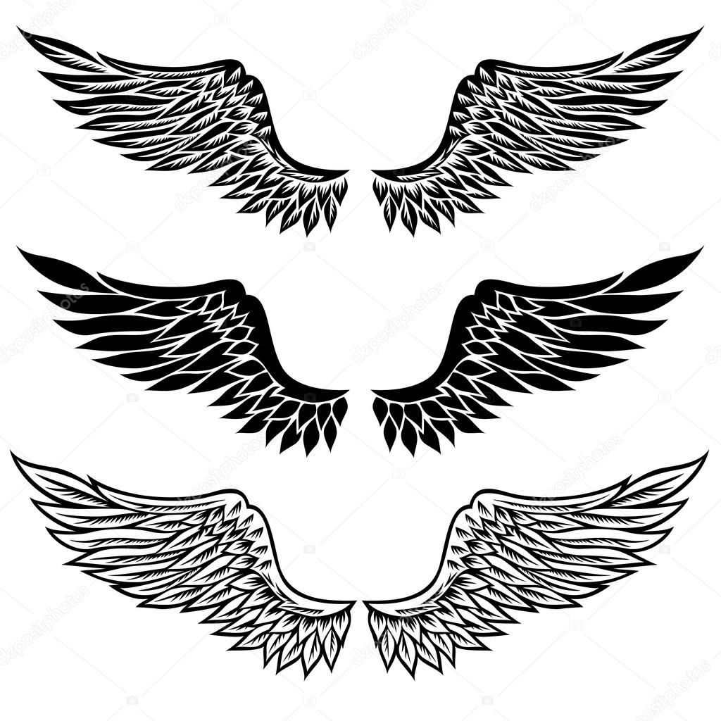 Set of fantasy stylized wings