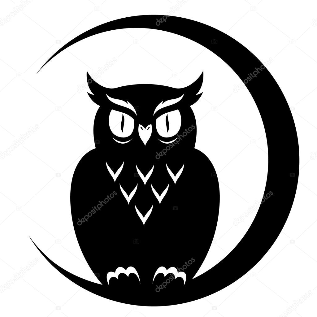 An owl sitting on the moon