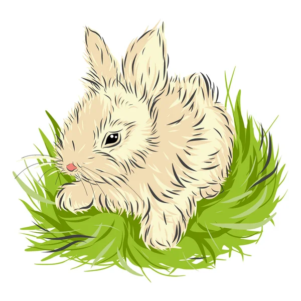 Yeşil çim üzerinde beyaz izole oturan Paskalya tavşanı