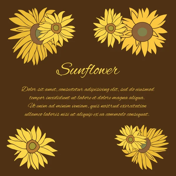 Koyu arka plan ayçiçeği vektör tebrik kartı