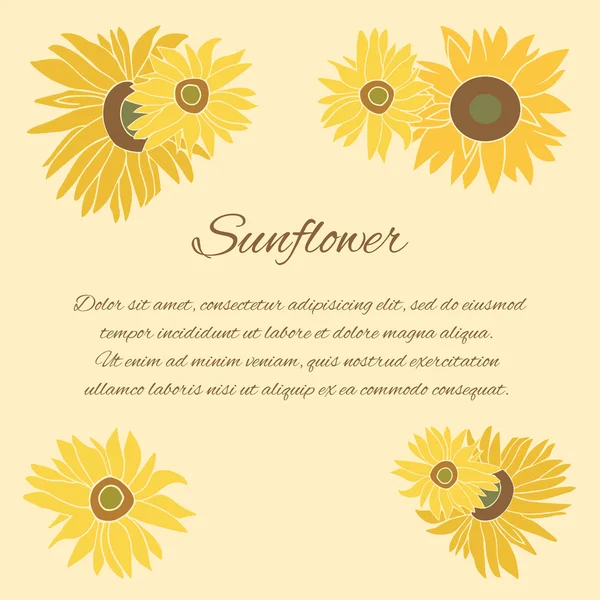 Parlak arka plan ayçiçeği vektör tebrik kartı