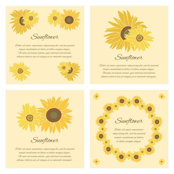 Ayçiçeği vektör tebrik kartı parlak arka plan ayarla