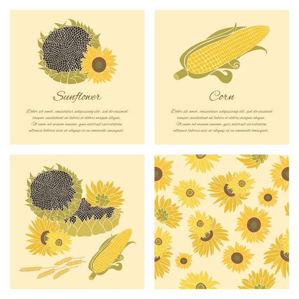 Ayçiçek ve Mısır tebrik kartı üzerinde parlak arka plan ayarlamak vektör