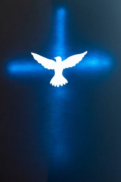 White Dove Silhouette Shining Cross Religious Concept — Stock Photo, Image