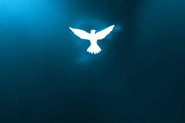 White Dove Silhouette Blue Light Pentecost Sunday Concept — Stock Photo, Image