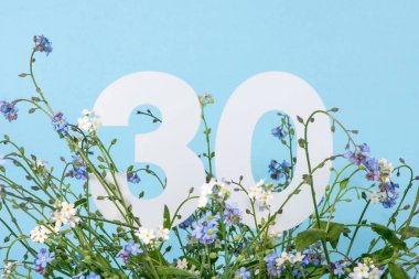 Mavi unutma beni çiçekleri arasında otuz numara. Doğum günü, yıldönümü, jübile konsepti. 