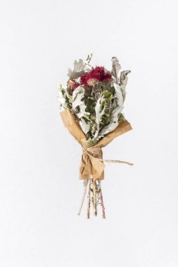 Beyaz arka planda izole edilmiş çay için kurutulmuş bitkiler. Kapat..