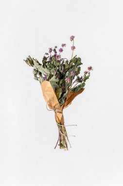 Beyaz arka planda izole edilmiş çay için kurutulmuş bitkiler. Kapat..