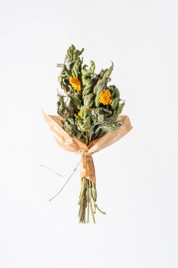 Beyaz arka planda izole edilmiş çay için kurutulmuş bitkiler. Kapat..