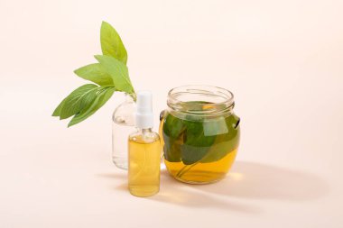 Ev yapımı Sage toniği sprey şişesinde. Güzellik tedavisi. Ev yapımı organik kozmetik