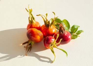 Plaj Gülü 'nün (Rosa rugosa) vahşi gül kalçaları, uzun gölgeli beyaz arka planda izole edilir. Kapat..